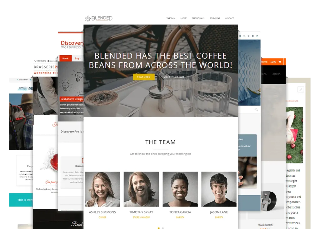 theme wordpress