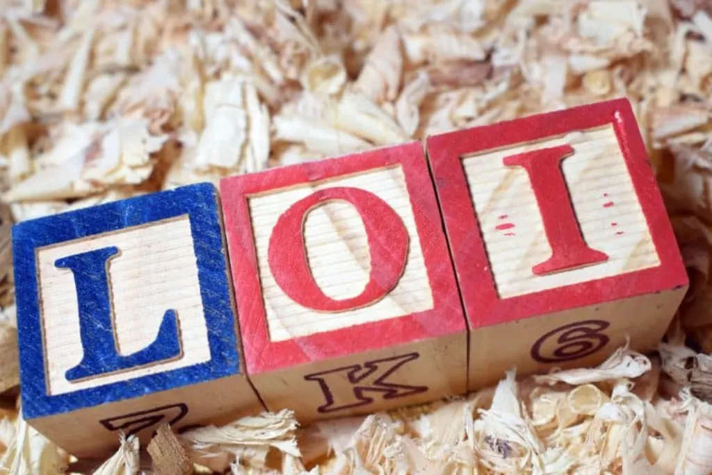 loi elan