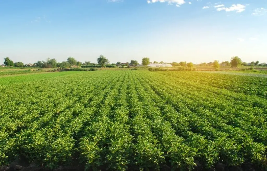 secteur agroalimentaire