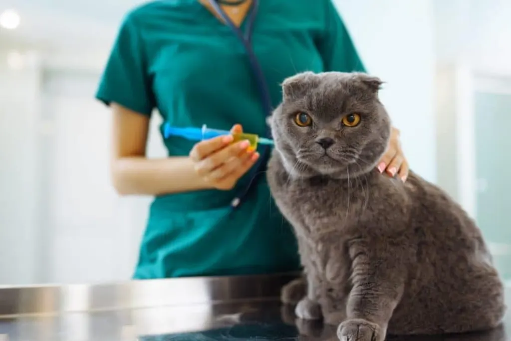 pratique veterinaire