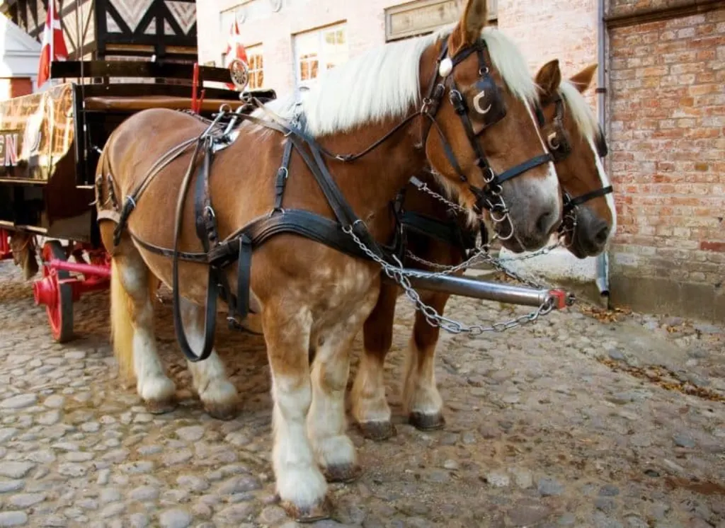 chariot elevateur
