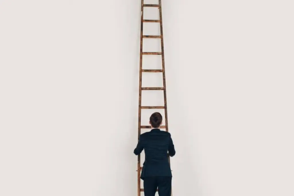 croissance entreprise