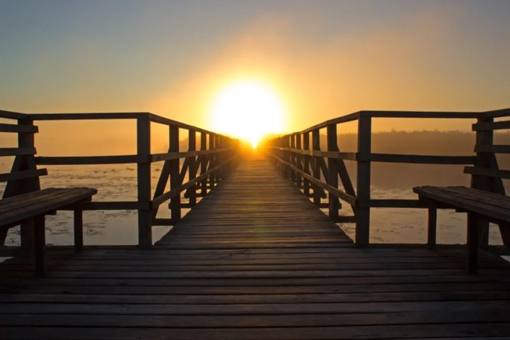 découvrez l'optimisme sous toutes ses formes et apprenez à cultiver une attitude positive face aux défis de la vie. explorez des conseils inspirants et des stratégies pour adopter une mentalité optimiste et améliorer votre bien-être au quotidien.