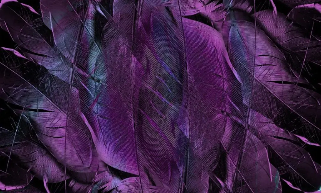 découvrez purple innovation, une entreprise pionnière qui repousse les limites de la technologie et du design pour offrir des solutions innovantes et durables. plongez dans un univers où créativité et innovation se rencontrent pour transformer des idées en réalité.