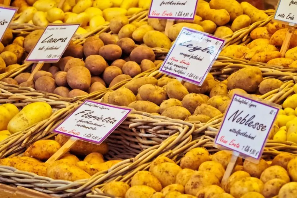 découvrez nos offres incroyables pendant notre vente exceptionnelle ! profitez de promotions irrésistibles sur une large sélection de produits. ne manquez pas cette occasion unique de faire des économies tout en vous faisant plaisir.