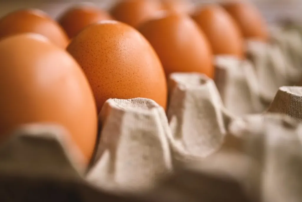 découvrez notre délicieuse sélection de recettes au poulet qui raviront vos papilles. que vous soyez à la recherche d'un plat savoureux ou d'une nouvelle idée de repas facile à préparer, notre guide vous propose des conseils et des astuces pour cuisiner le poulet à la perfection.
