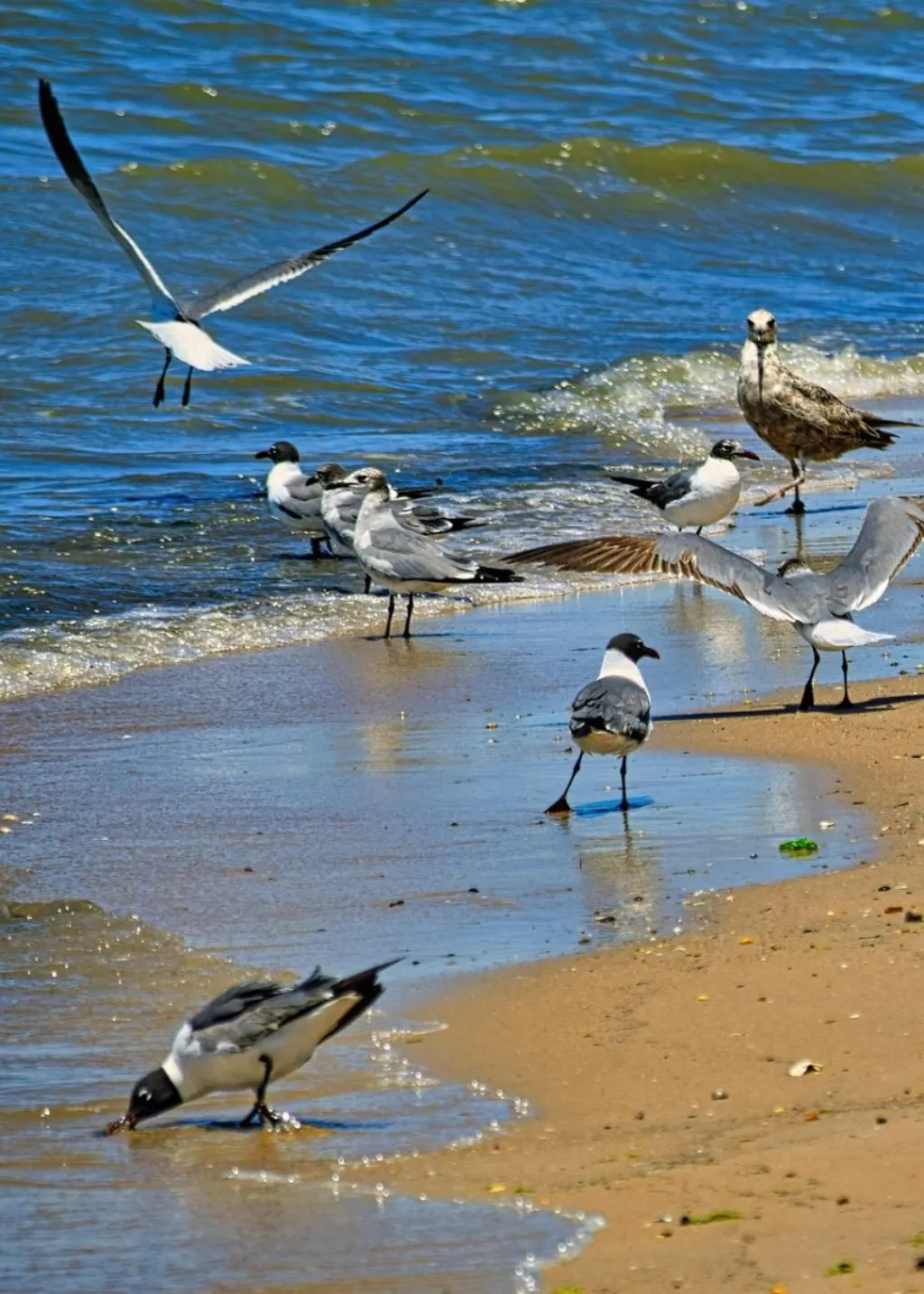 découvrez le delaware, un état charmant des états-unis, riche en histoire et en paysages pittoresques. explorez ses plages, ses parcs nationaux et sa culture unique, tout en profitant de ses attractions historiques et de sa délicieuse gastronomie.