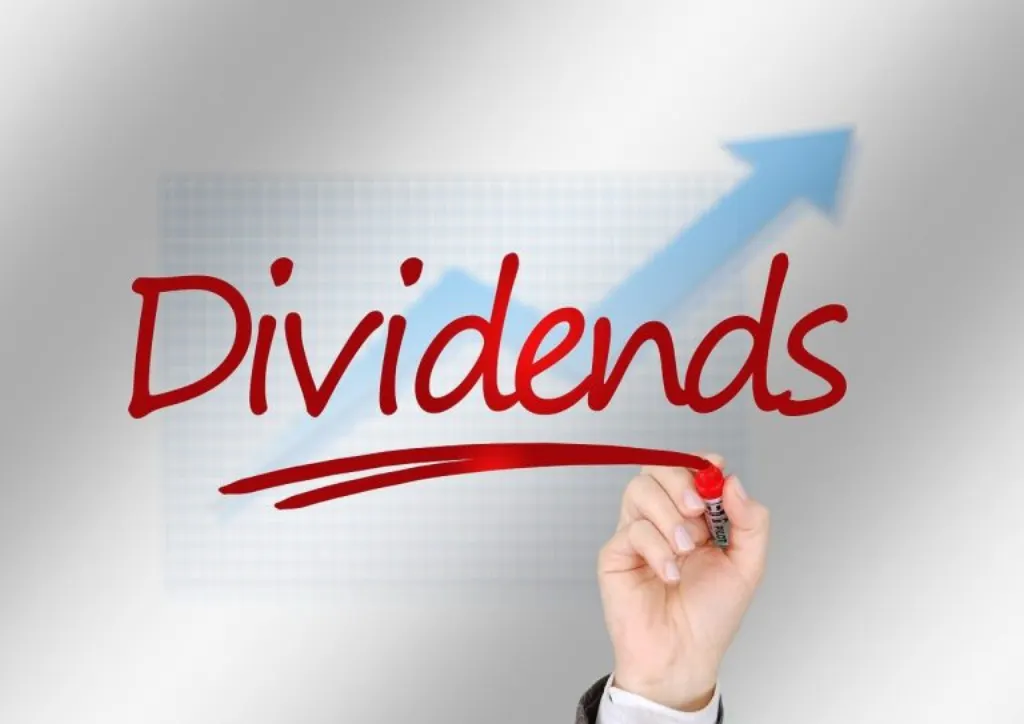 découvrez tout ce que vous devez savoir sur les dividendes : définition, fonctionnement, avantages et stratégies d'investissement. maximisez vos revenus passifs grâce à une meilleure compréhension des dividendes.