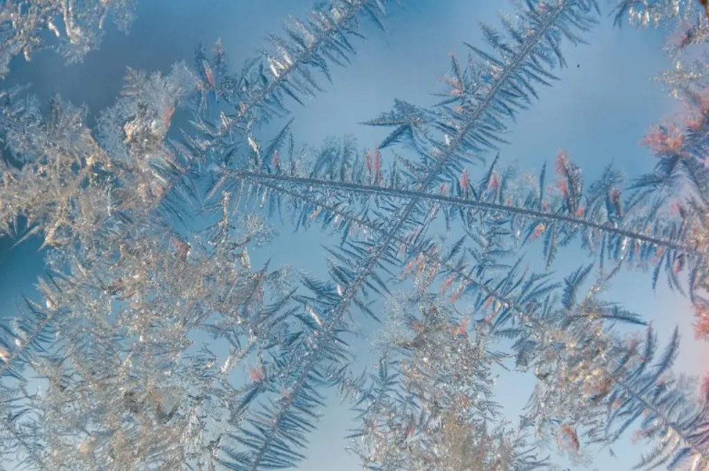 découvrez l'univers fascinant de la glace : ses origines, ses différentes formes et ses applications dans divers domaines. plongez dans le monde glacé et apprenez tout sur cet élément essentiel de notre environnement.