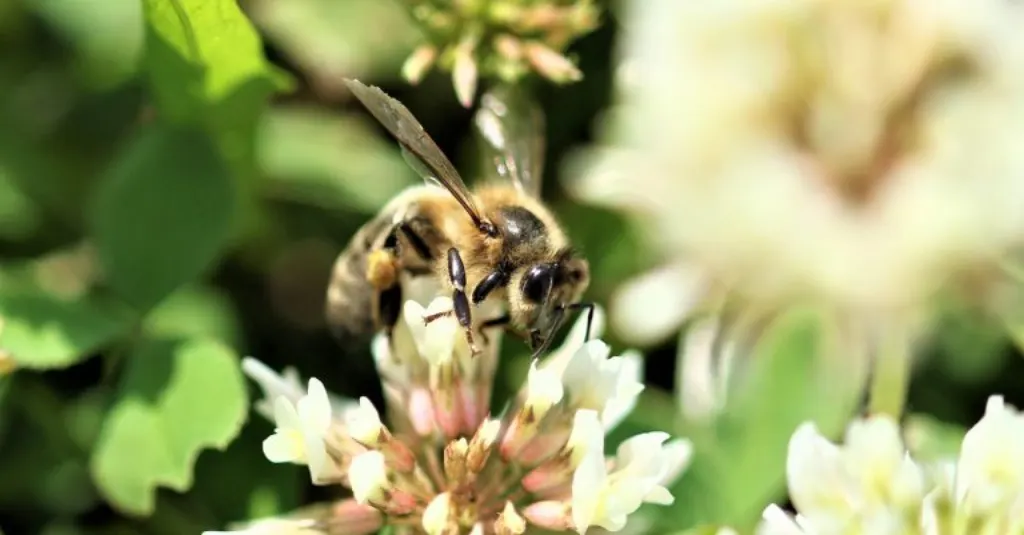 découvrez bumble, l'application de rencontre qui donne le pouvoir aux femmes. créez des connexions authentiques, que ce soit pour des rencontres, des amitiés ou des opportunités professionnelles. rejoignez dès aujourd'hui une communauté où chacun prend l'initiative!