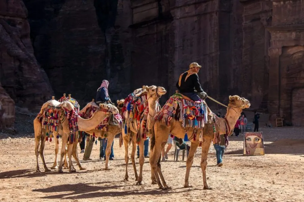 découvrez le monde fascinant de jordan moldo, un artiste innovant qui repousse les limites de la créativité. explorez ses œuvres uniques et plongez dans son univers artistique captivant.