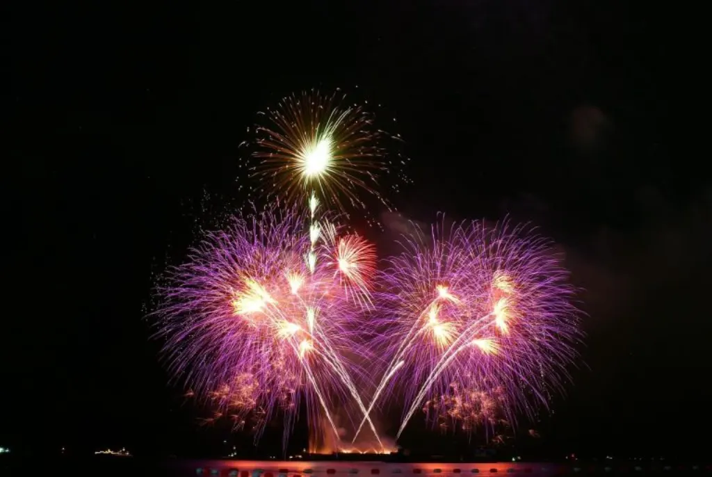 découvrez l'univers envoûtant des feux d'artifice ! des spectacles lumineux et colorés pour émerveiller petits et grands. apprenez tout sur les différentes techniques, l'histoire fascinante et les événements incontournables autour des feux d'artifice. préparez-vous à célébrer chaque occasion avec éclat !