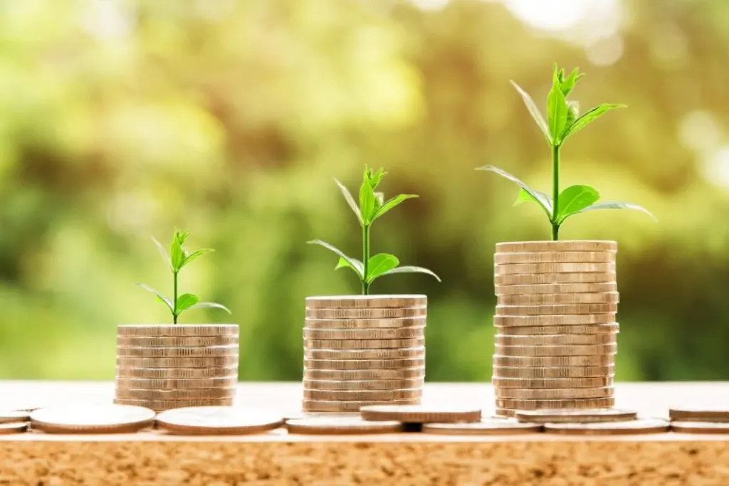 découvrez les meilleures stratégies d'investissement pour faire fructifier votre capital. explorez des conseils pratiques, des analyses de marché et des opportunités d'investissement adaptées à votre profil et à vos objectifs financiers.