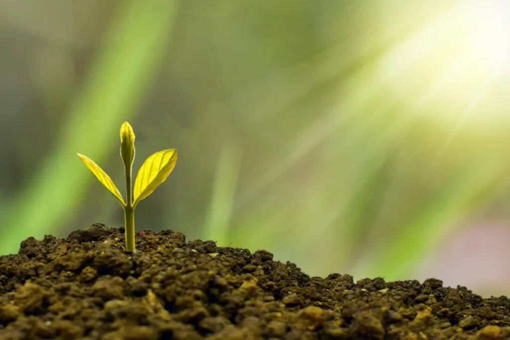 découvrez des stratégies d'investissement efficaces et des conseils pratiques pour optimiser la gestion de votre portefeuille. explorez les différentes options d'investissements, des actions aux obligations, et maximisez vos rendements tout en minimisant les risques.