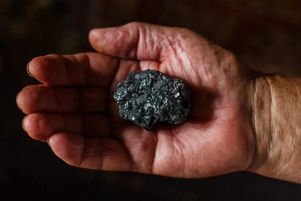 découvrez le monde fascinant de l'exploitation marine : des techniques durables aux innovations technologiques, explorez comment nous préservons nos océans tout en tirant parti de leurs ressources.