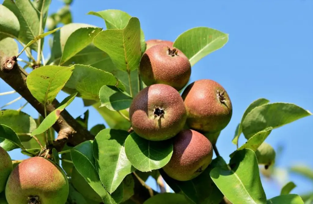 découvrez tout sur apple : actualités, produits innovants, tests d'iphone, mac, ipad et les dernières tendances de la marque à la pomme. restez informé des nouveautés apple !