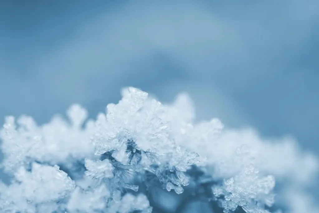 découvrez tout sur les opérations de gestion et d'entretien de la glace, les techniques utilisées pour assurer une surface optimale et sécurisée dans les patinoires ou lors de la production industrielle de glace.
