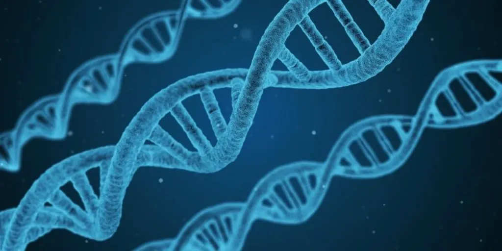 découvrez les dernières avancées et applications de la biotechnologie, une science innovante au service de la santé, de l’agriculture et de l’industrie. informez-vous sur les enjeux actuels du secteur.