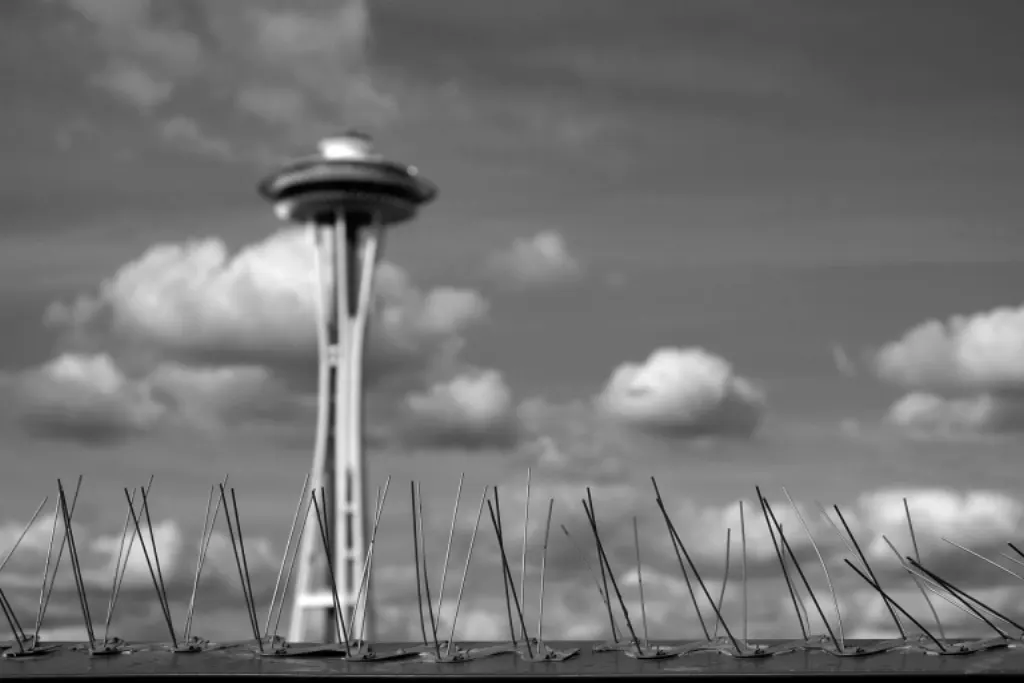 découvrez seattle, une ville dynamique du nord-ouest des états-unis, célèbre pour sa space needle, ses paysages spectaculaires, sa scène musicale riche et son ambiance cosmopolite au cœur de l’état de washington.