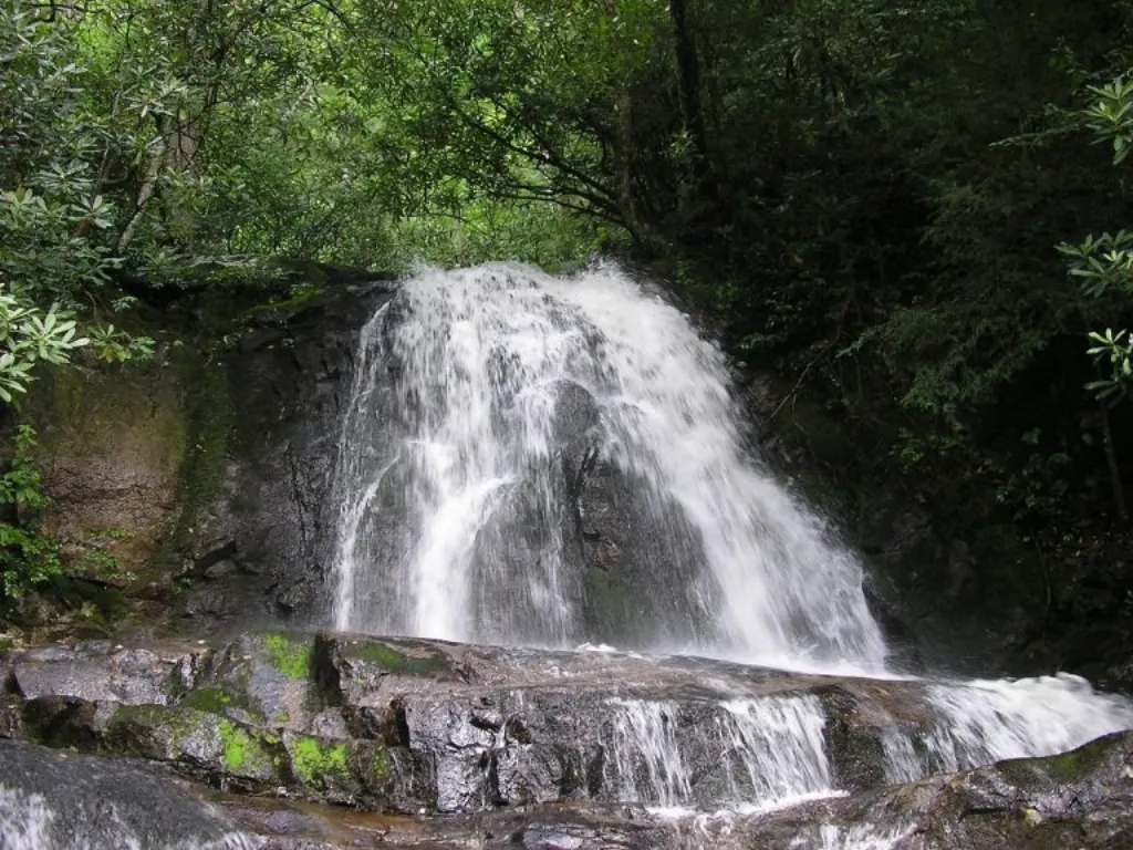 découvrez le tennessee, un état du sud-est des états-unis réputé pour sa musique, ses paysages magnifiques, et ses villes emblématiques comme nashville et memphis. parfait pour les amateurs de culture, de nature et d'histoire.