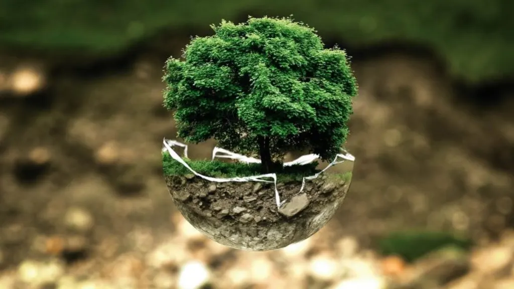 découvrez les conséquences des infractions environnementales, les réglementations en vigueur et comment prévenir les violations pour protéger notre planète.