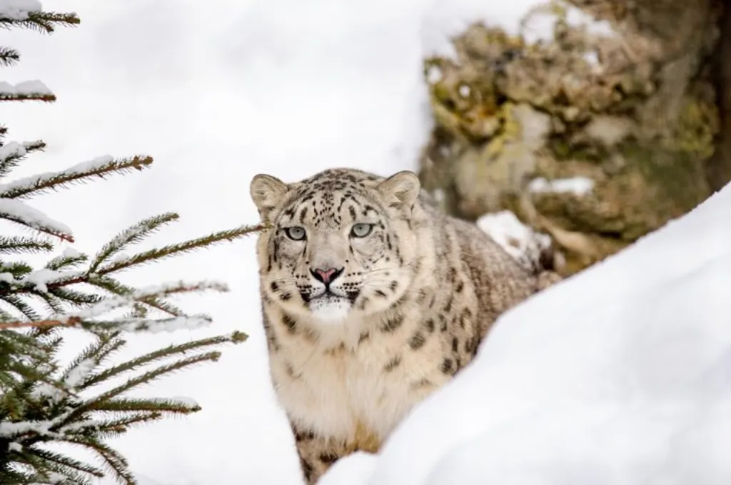 découvrez le monde fascinant des chasseurs de primes, experts intrépides à la poursuite des fugitifs pour justice et récompense.