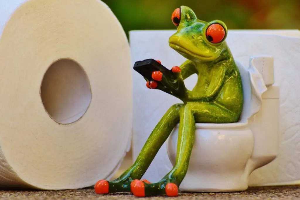 découvrez les conséquences de la faillite d'une entreprise de location de toilettes mobiles et comment cela impacte les clients et les fournisseurs.