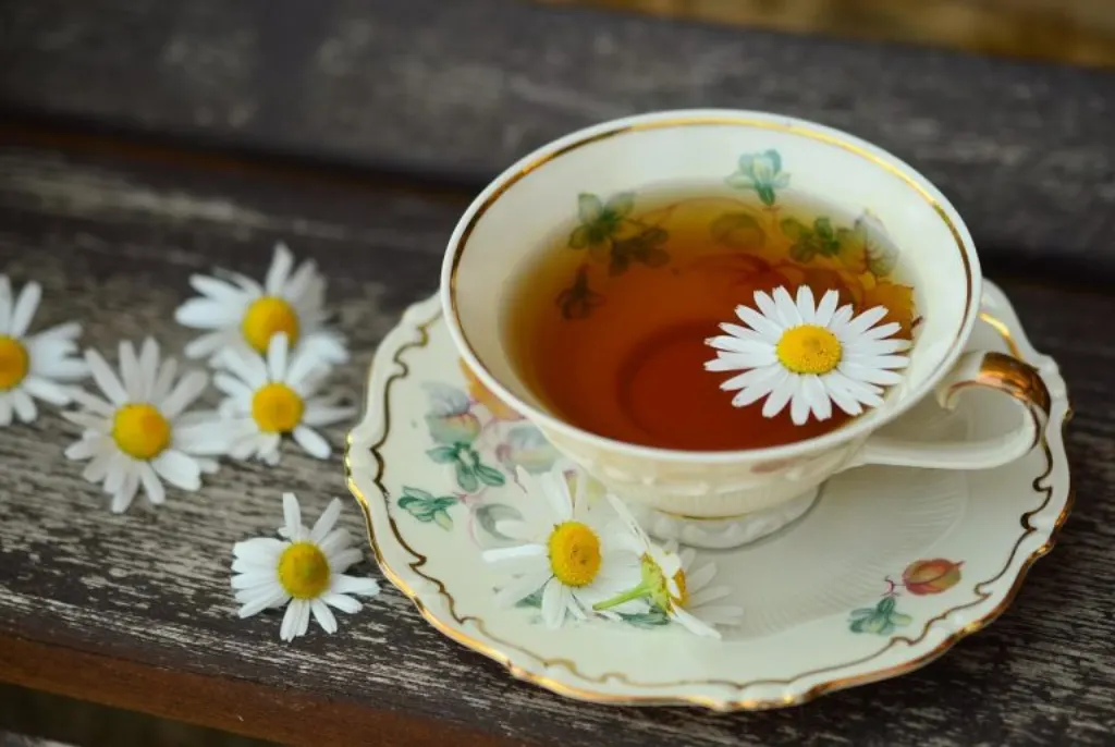 découvrez premium tea company, votre expert en thés de haute qualité, offrant une sélection raffinée et des saveurs exceptionnelles pour les amateurs de thé exigeants.