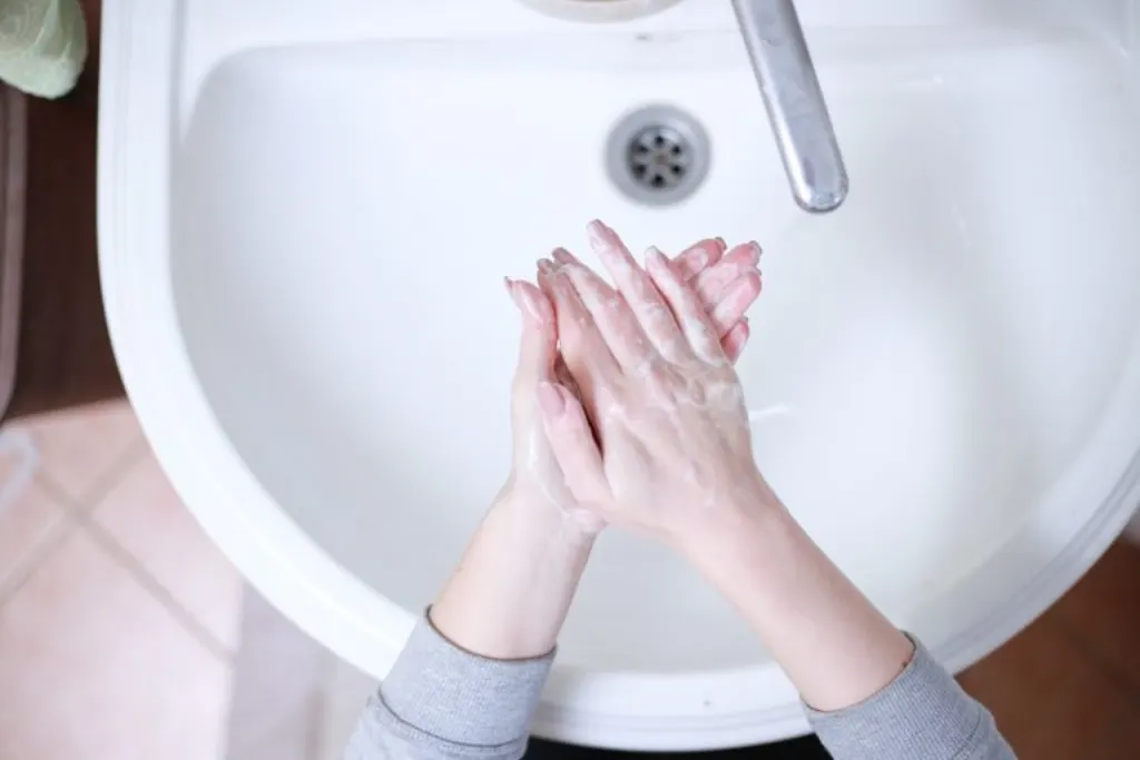 découvrez les répercussions des licenciements dans une entreprise de sanitation alimentaire et leurs impacts sur la sécurité et la qualité des services.