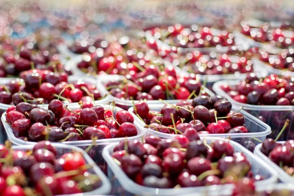 découvrez les causes courantes des malentendus sur le marché et comment les éviter pour optimiser vos stratégies commerciales.