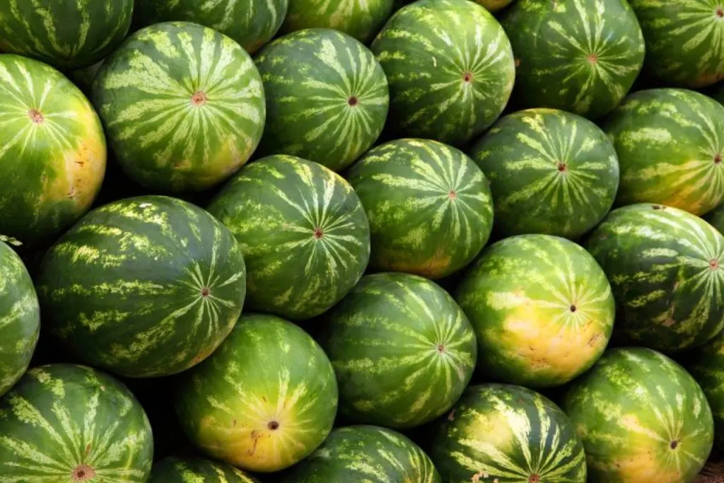 découvrez les erreurs fréquentes et les malentendus courants sur le marché afin d'améliorer votre compréhension et vos stratégies commerciales.