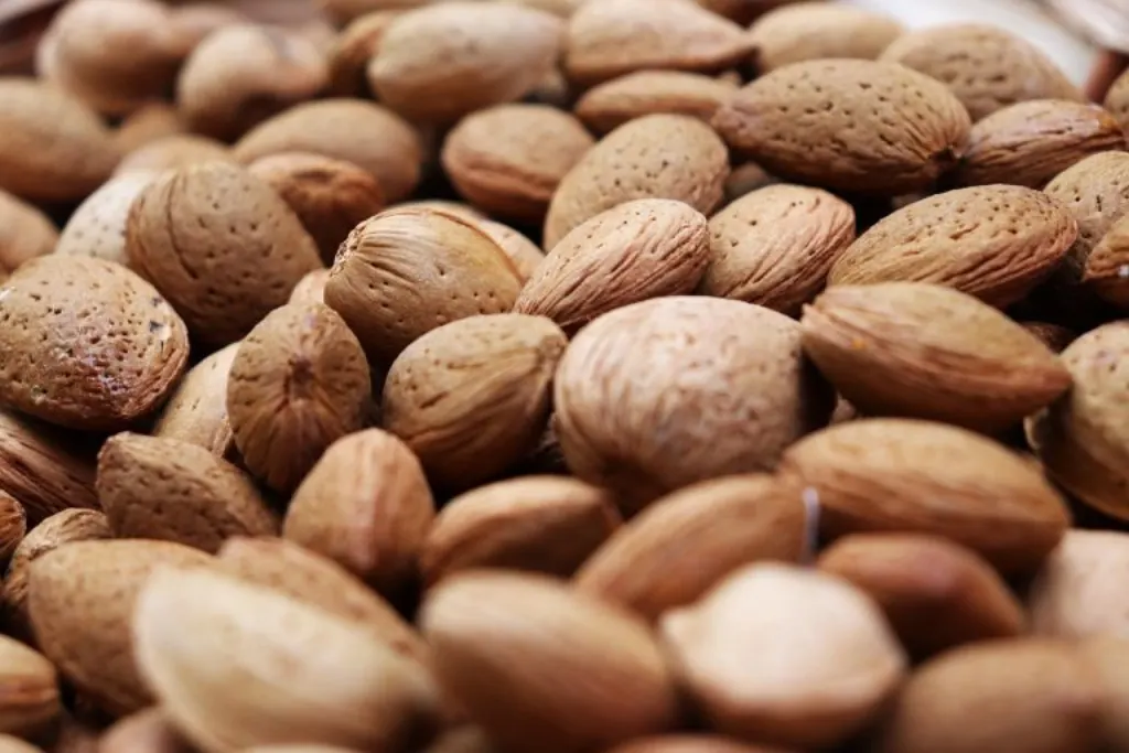 découvrez notre entreprise spécialisée dans les aliments à base de plantes, offrant des produits savoureux, sains et respectueux de l'environnement pour un mode de vie durable.