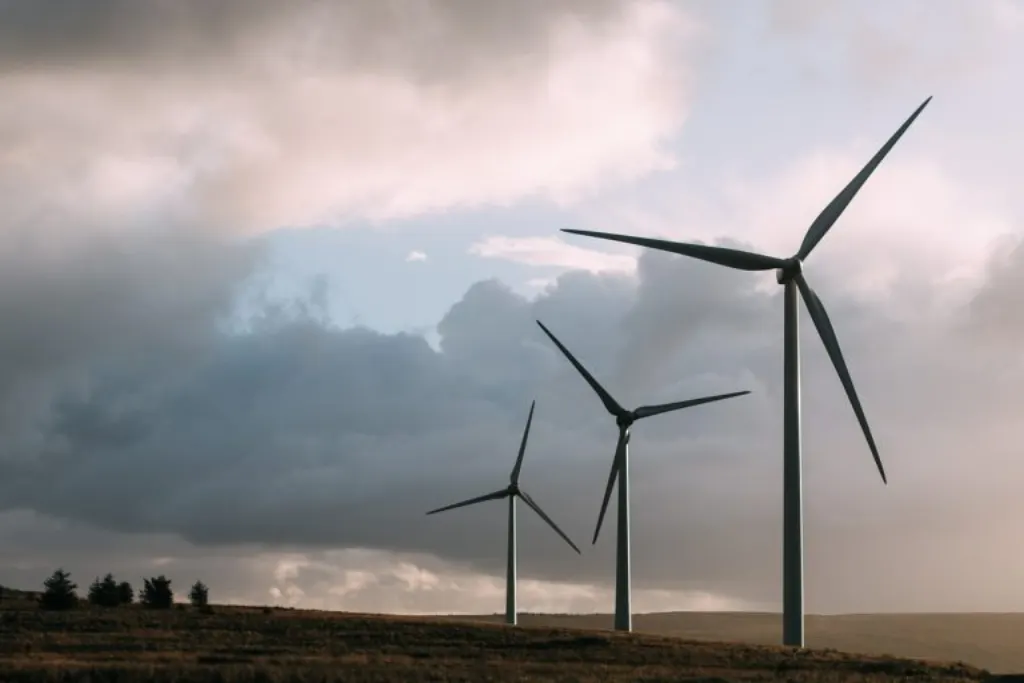découvrez les détails du procès impliquant un développeur d'éolien offshore, les enjeux juridiques et l'impact sur le secteur des énergies renouvelables.