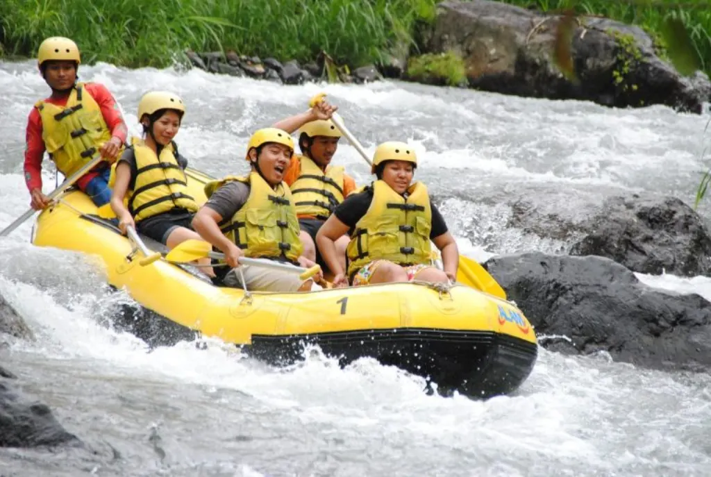 découvrez les sensations fortes du rafting, une activité aquatique idéale pour les amateurs d'aventure et de nature. partez en rivière pour une expérience inoubliable en famille ou entre amis.