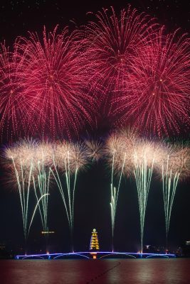 découvrez l'émerveillement des feux d'artifice avec nos spectacles colorés et spectaculaires, parfaits pour toutes vos célébrations et événements spéciaux.