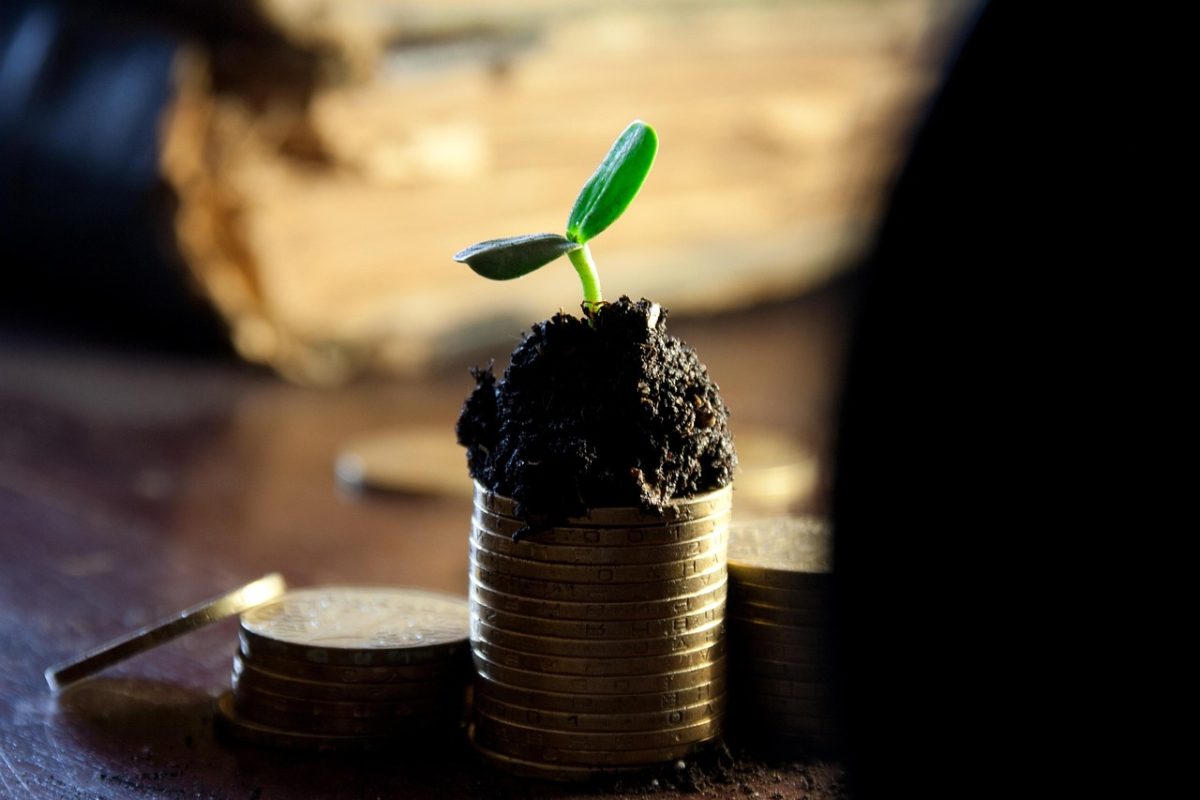 découvrez tout sur les dividendes : définitions, fonctionnement, conseils pour investir et maximiser vos revenus passifs grâce aux actions.